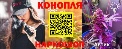 гидра Боровичи