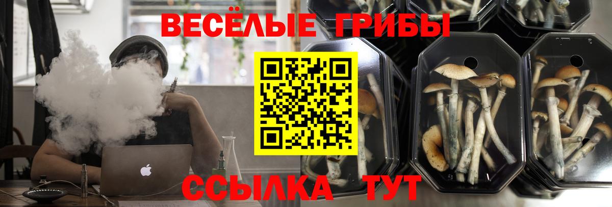 Галлюциногенные грибы Magic Shrooms  Галлюциногенные грибы MAGIC MUSHROOMS  как найти   Вход с VPN  Егорьевск 